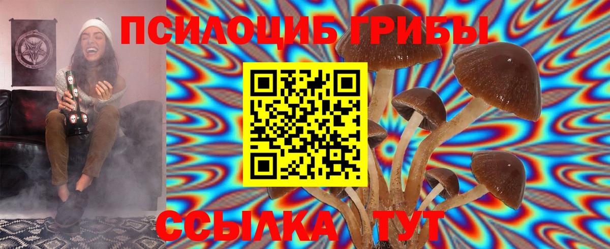Сунжа  Псилоцибиновые грибы Cubensis  Вход с VPN 