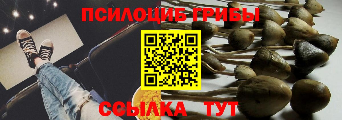Псилоцибиновые грибы мухоморы Сунжа